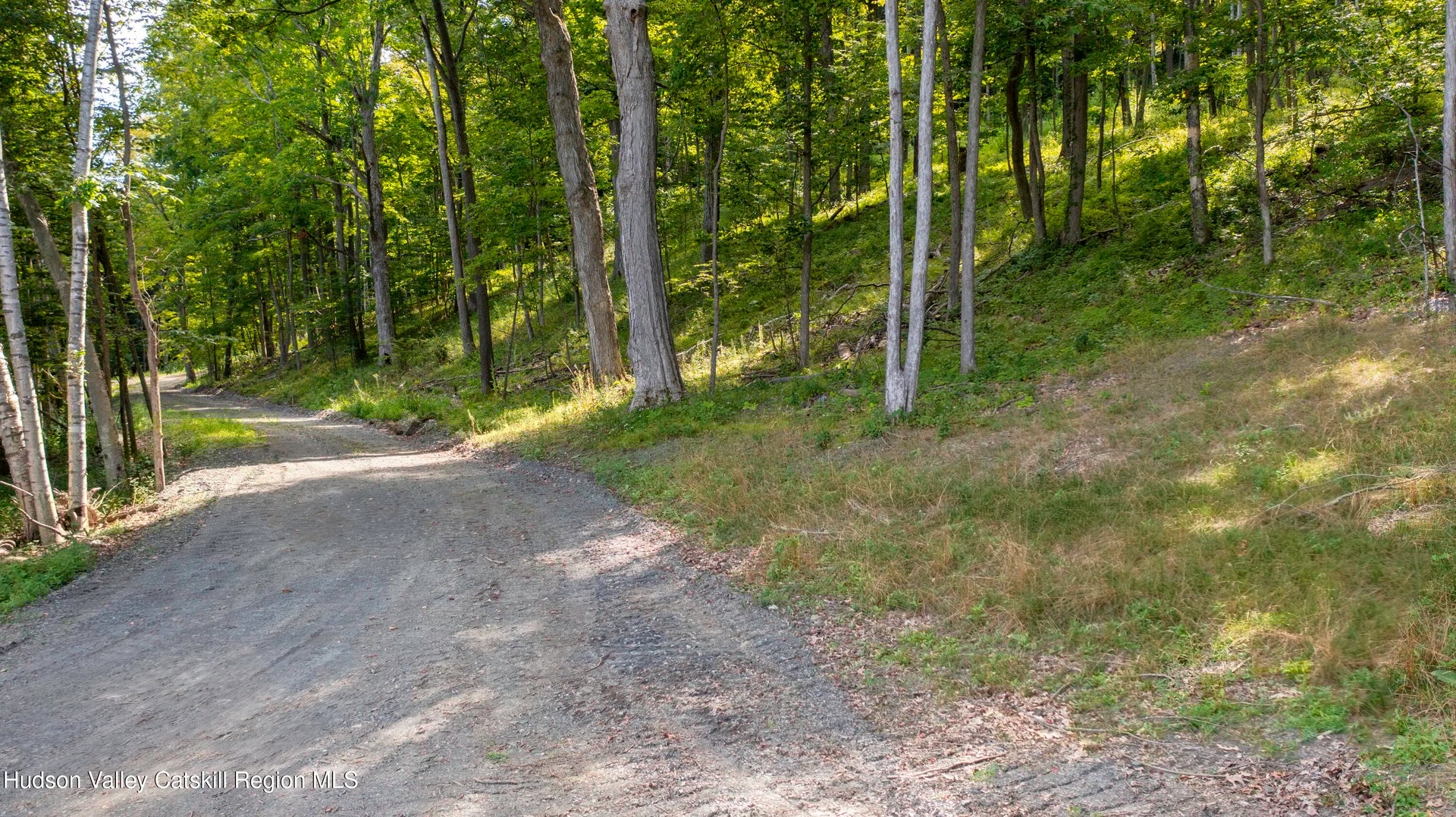 8025 Route 22 Stop 84 Photo 16