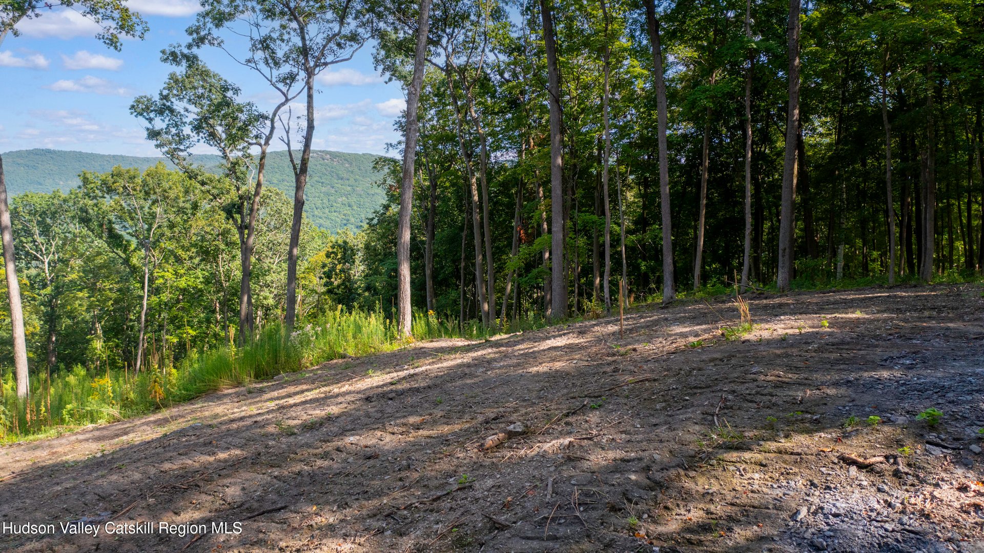 8025 Route 22 Stop 84 Photo 22