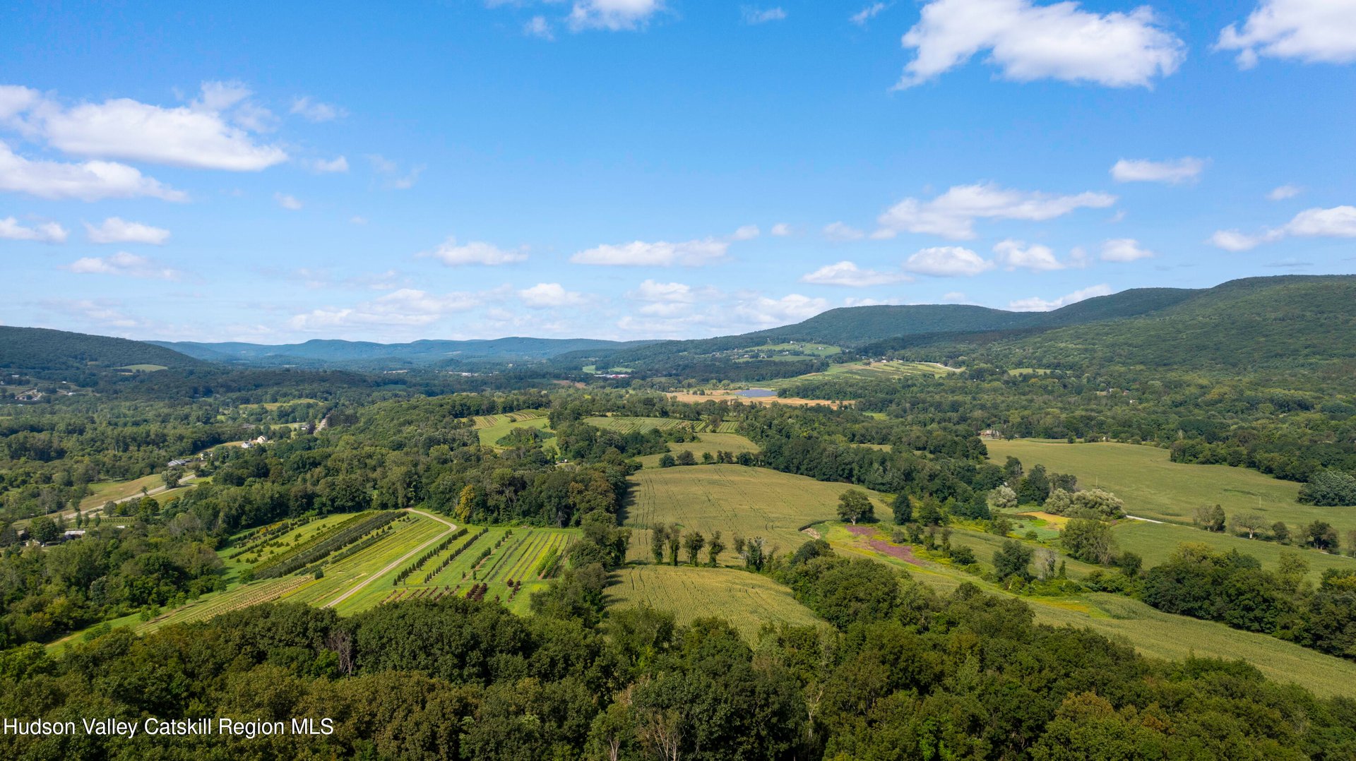 8025 Route 22 Stop 84 Photo 15