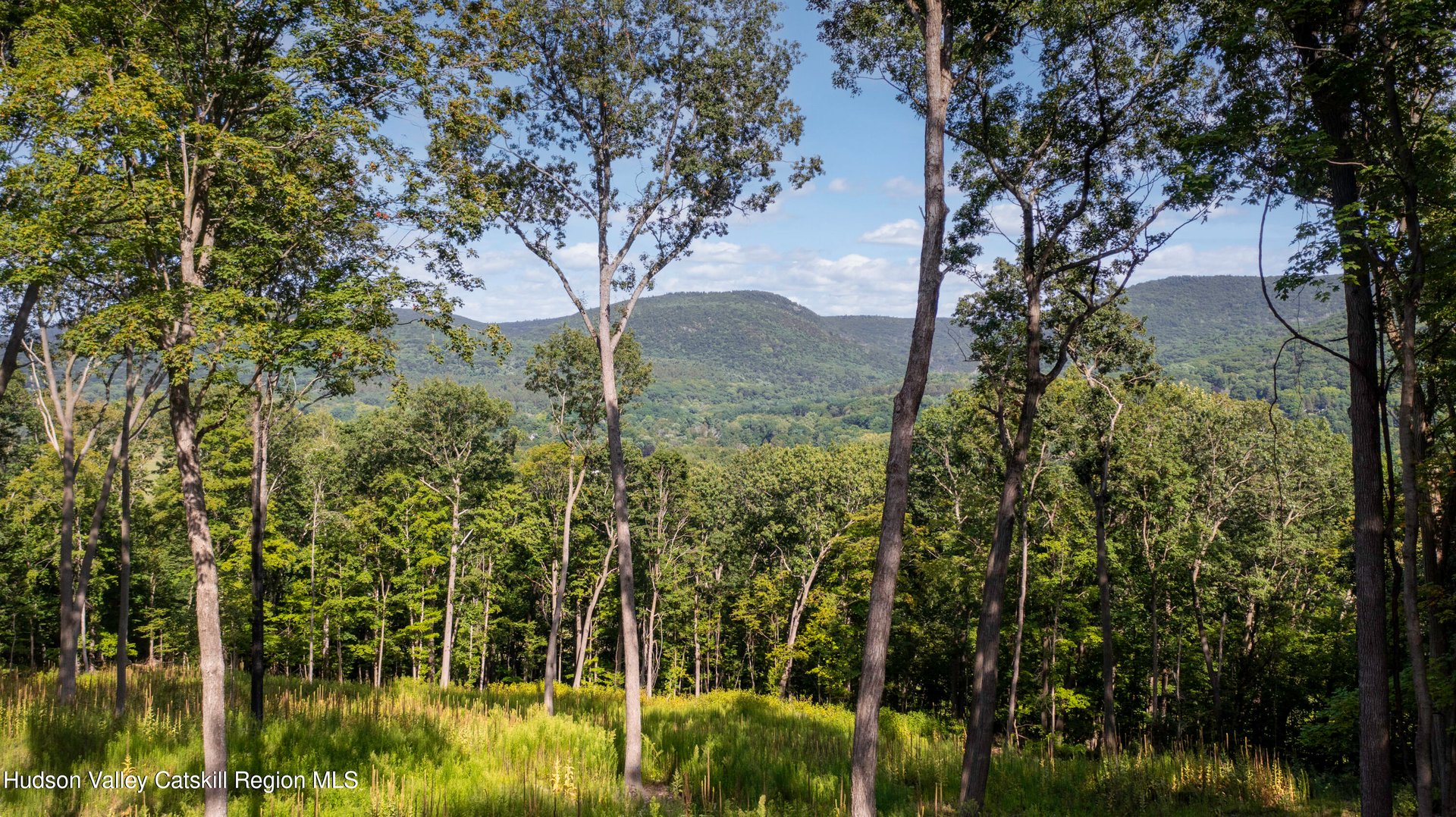 8025 Route 22 Stop 84 Photo 20