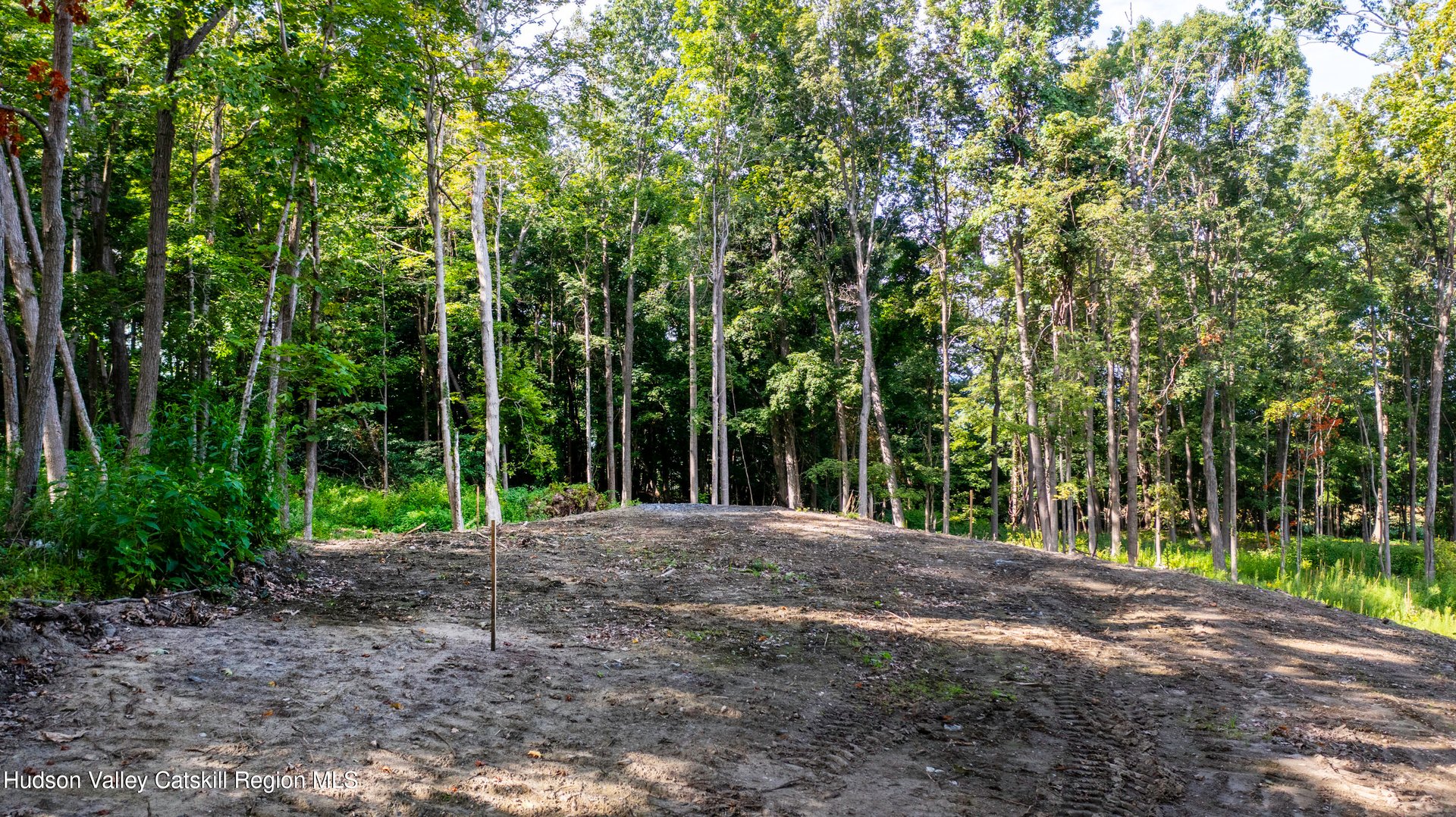 8025 Route 22 Stop 84 Photo 18