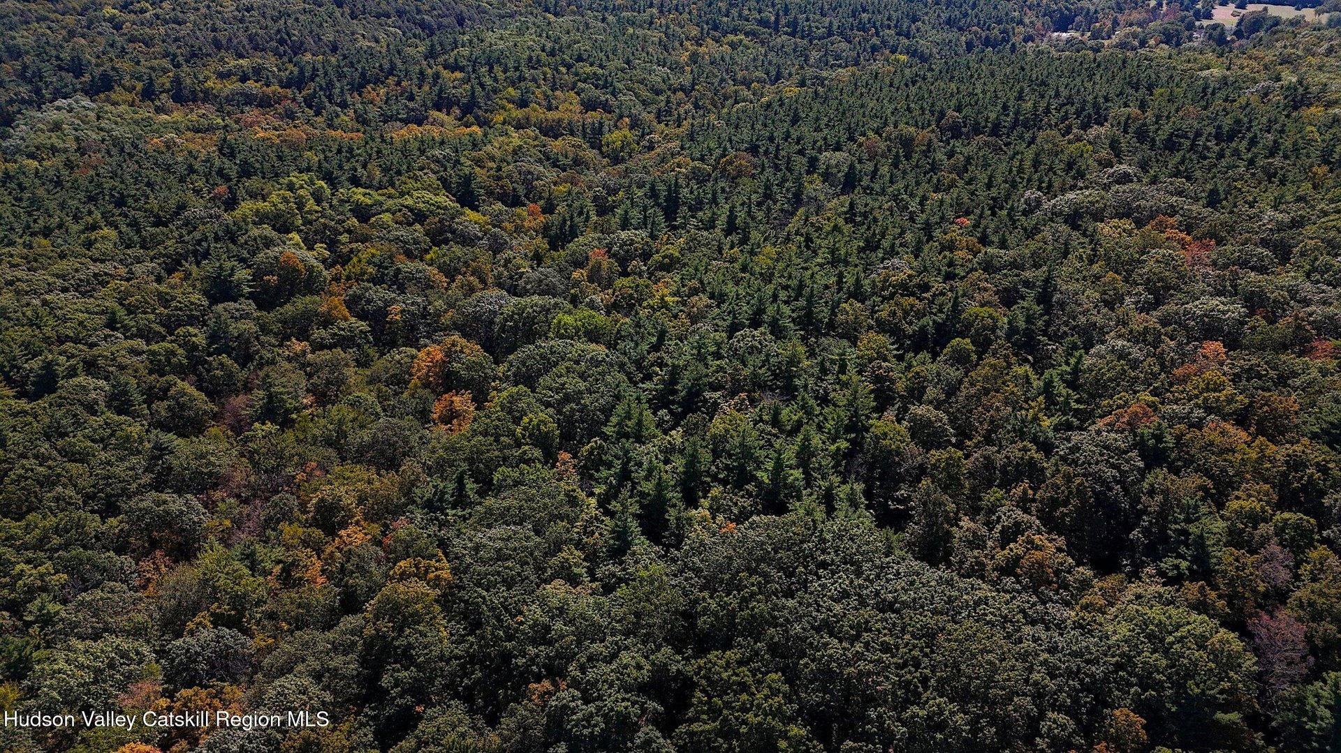 0 Scannell Road Photo 12