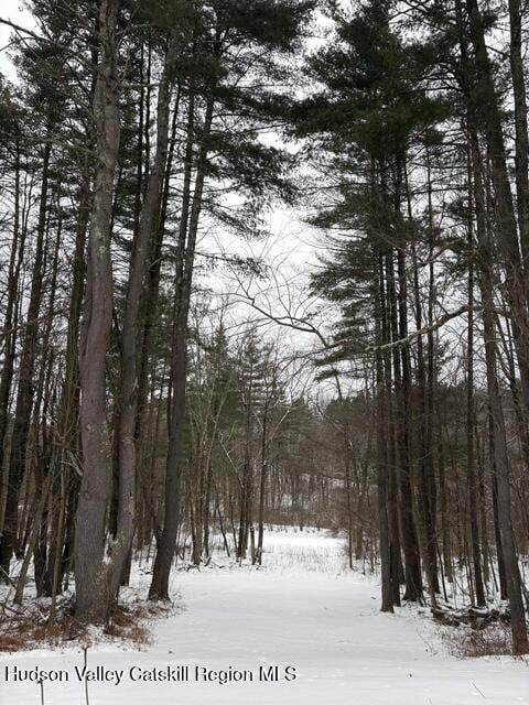 186 W Hand Hill Road Photo 42