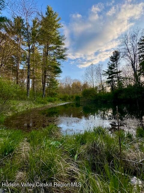 186 W Hand Hill Road Photo 17