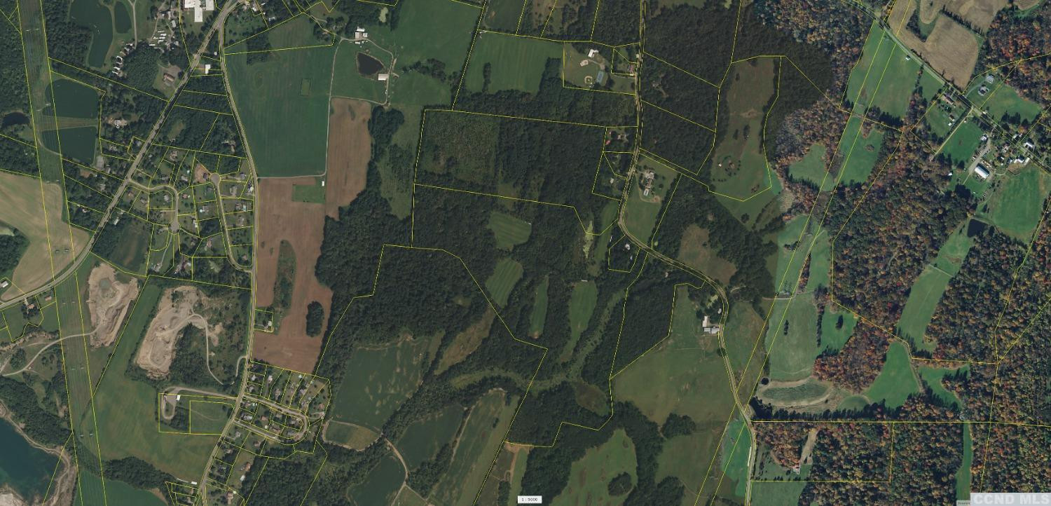 Livingston  Photo 16