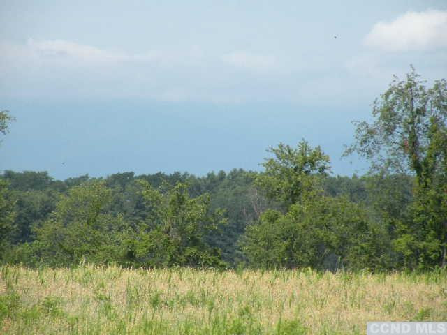 Livingston  Photo 15