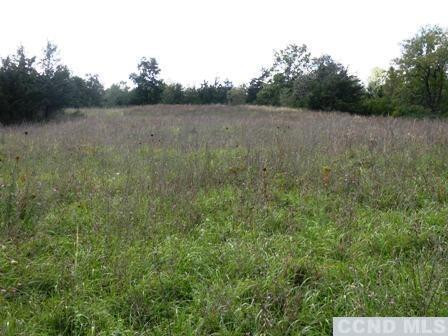 Livingston  Photo 11