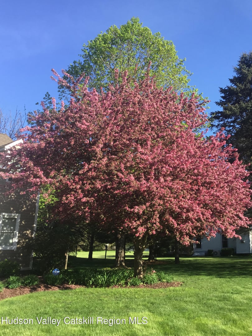 11 Presidential Drive Photo 24