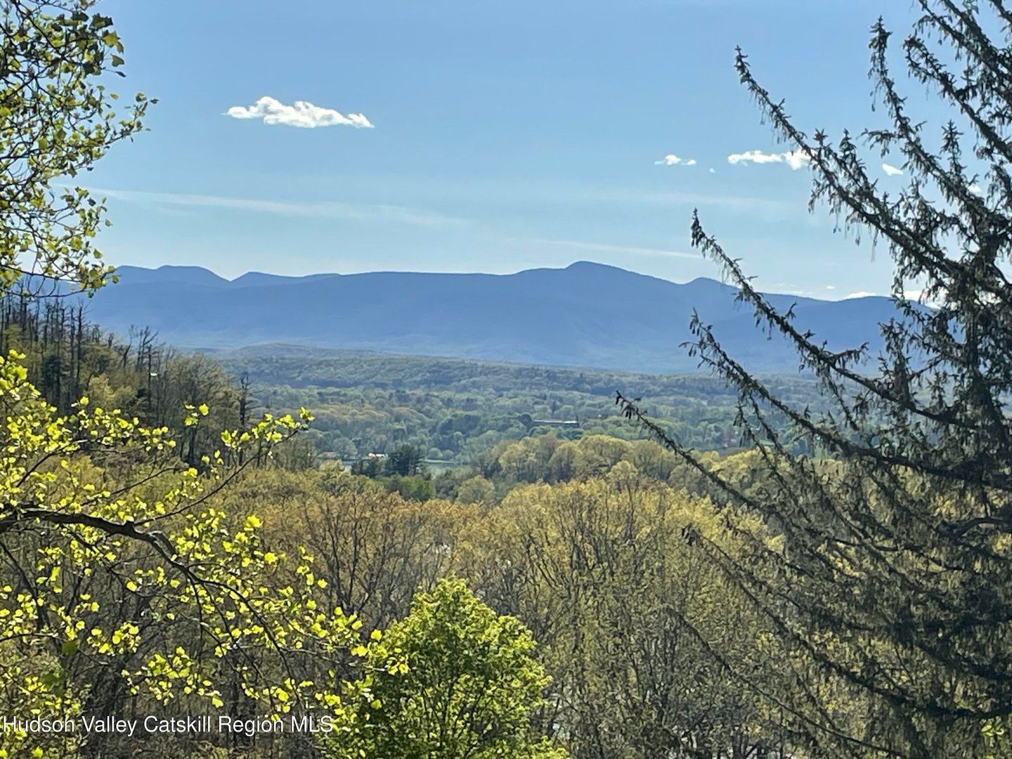 4317 Ny-23 Photo 6