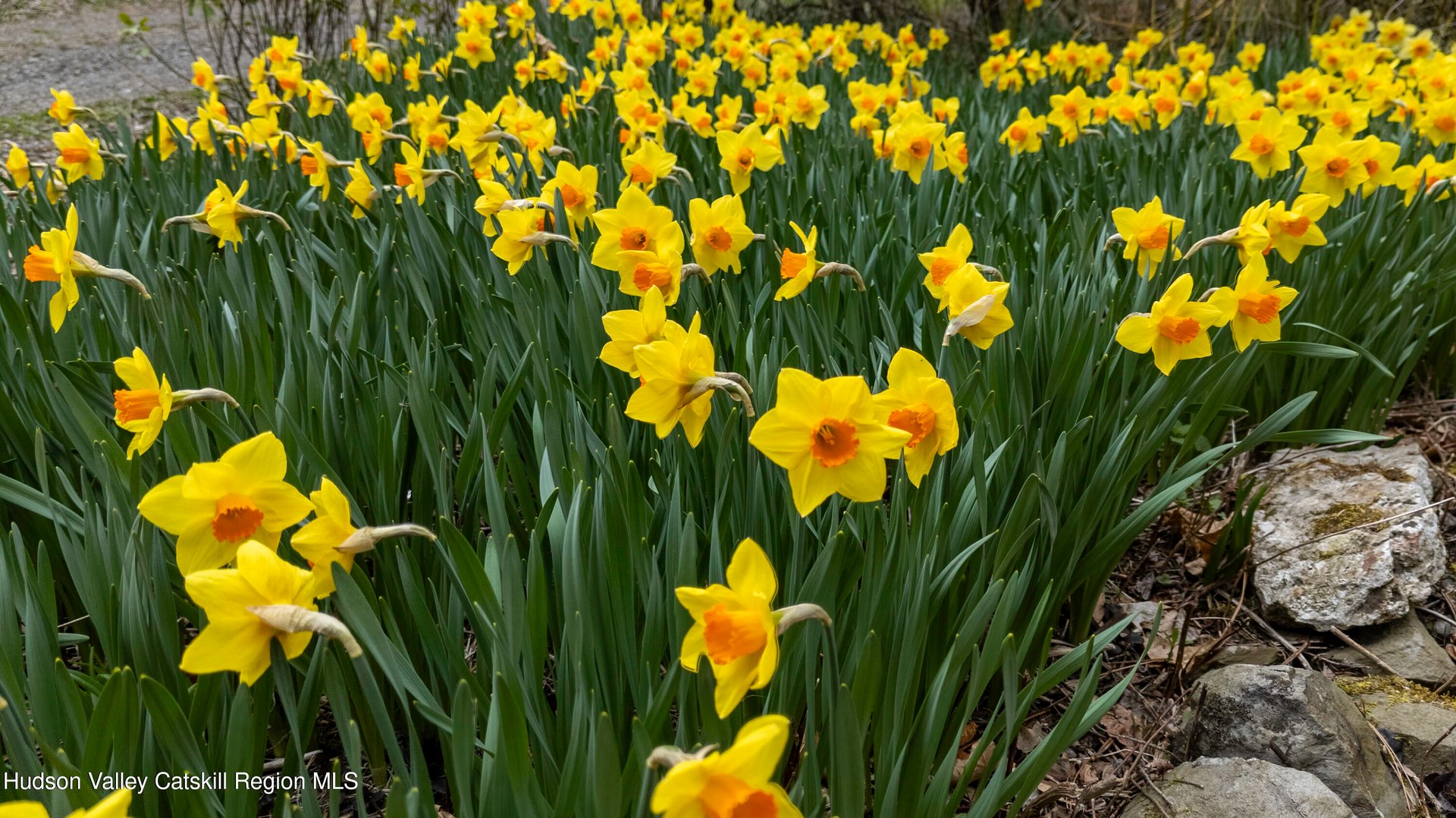 348 Taghkanic Churchtown Road Photo 7