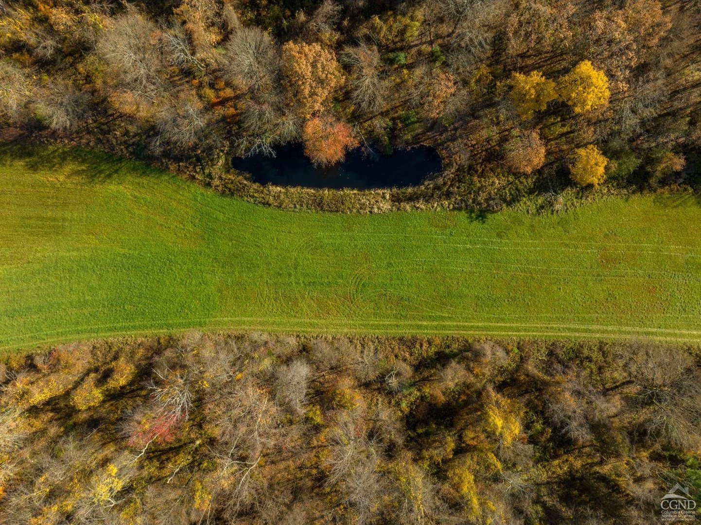 327 Scudderhook Rd Photo 5