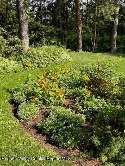 841 New York 203 Photo 36