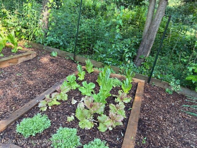 841 New York 203 Photo 37