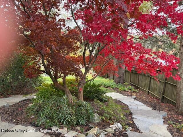 841 New York 203 Photo 34