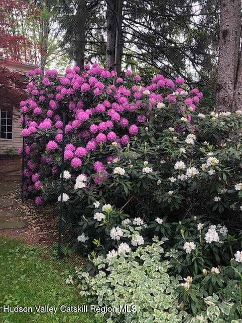 841 New York 203 Photo 32