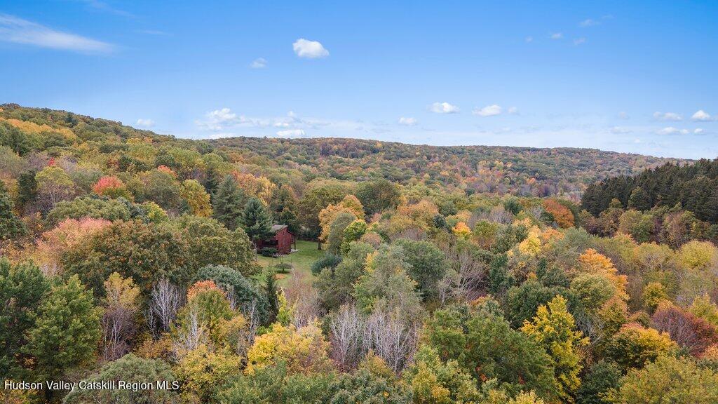 388 Sky Farm Road  #Stop 11 Photo 54