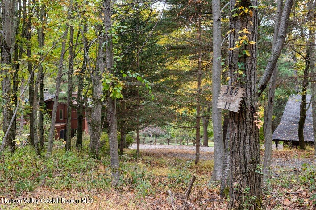 388 Sky Farm Road  #Stop 11 Photo 6