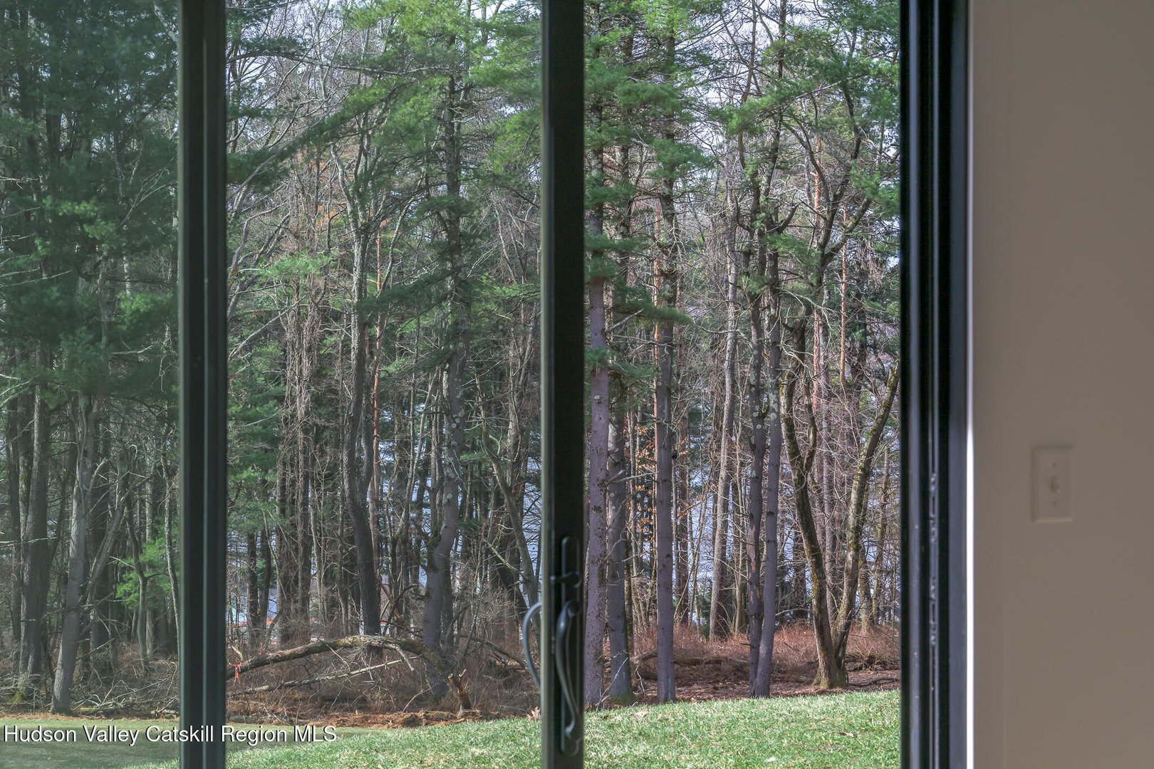 501 Birch Street Photo 10