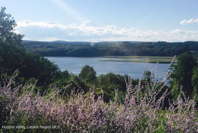 188 Mount Merino Road Photo 20