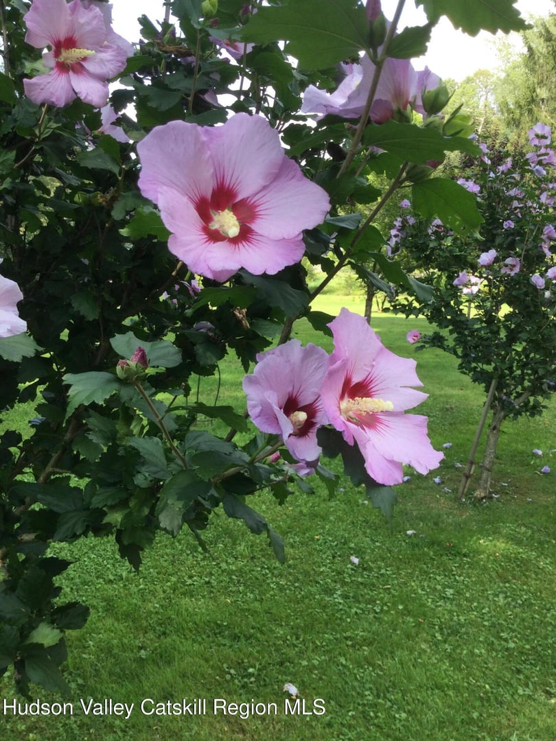 118 Old Shaker Road Photo 13