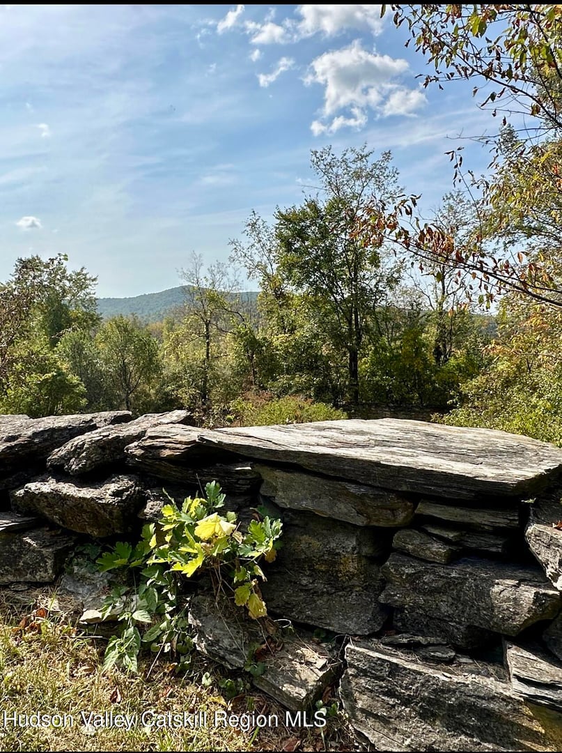 118 Old Shaker Road Photo 9