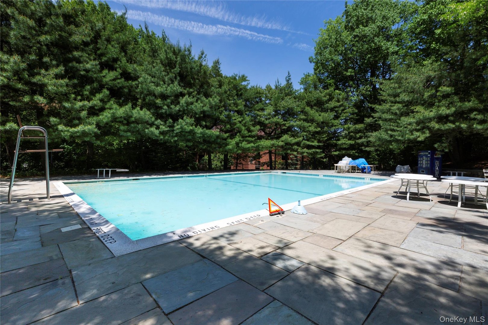 37 Bronxville Glen Drive  #Bldg 5, Unit 1 Photo 23