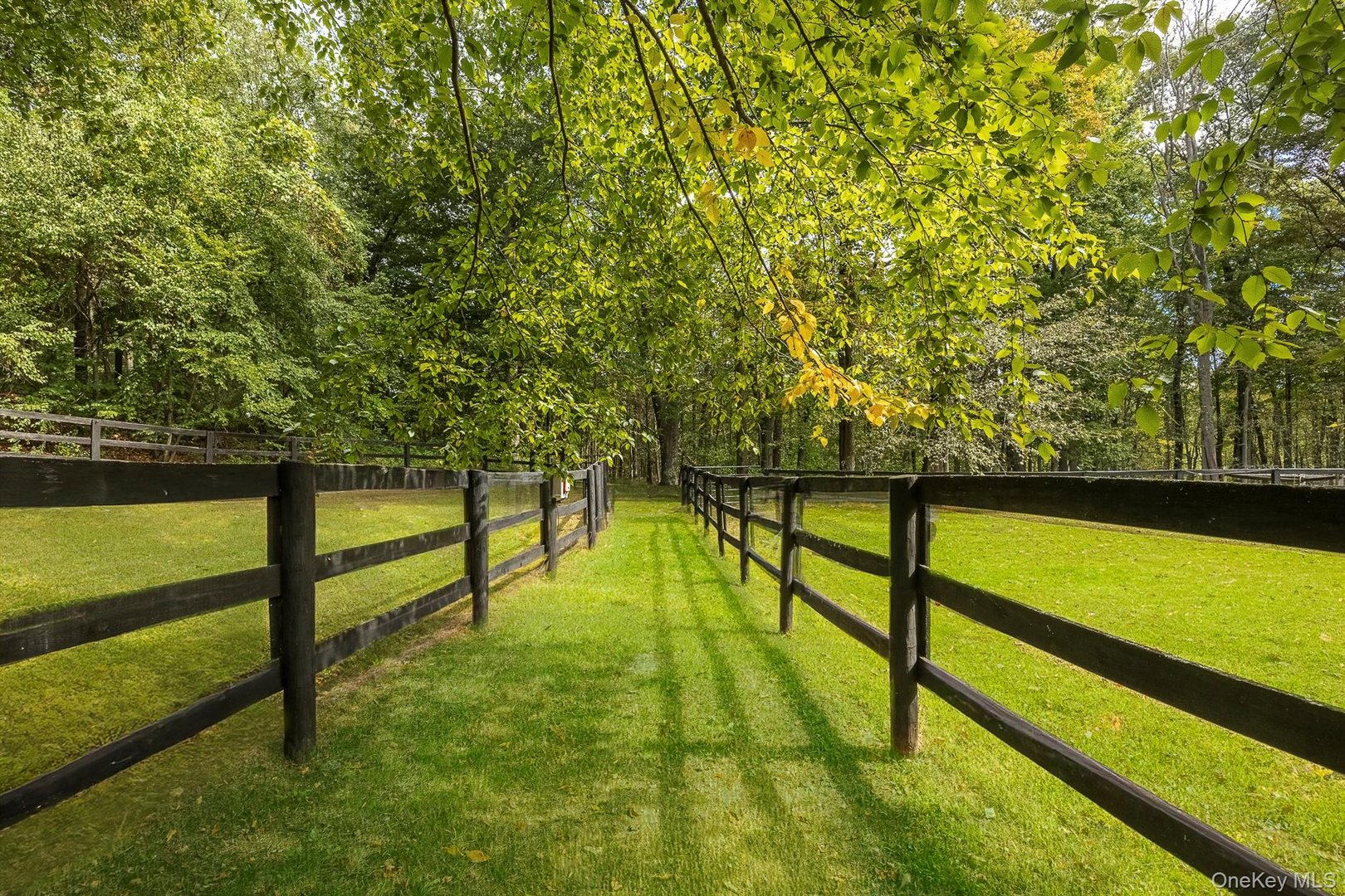 132 Finch Road Photo 6