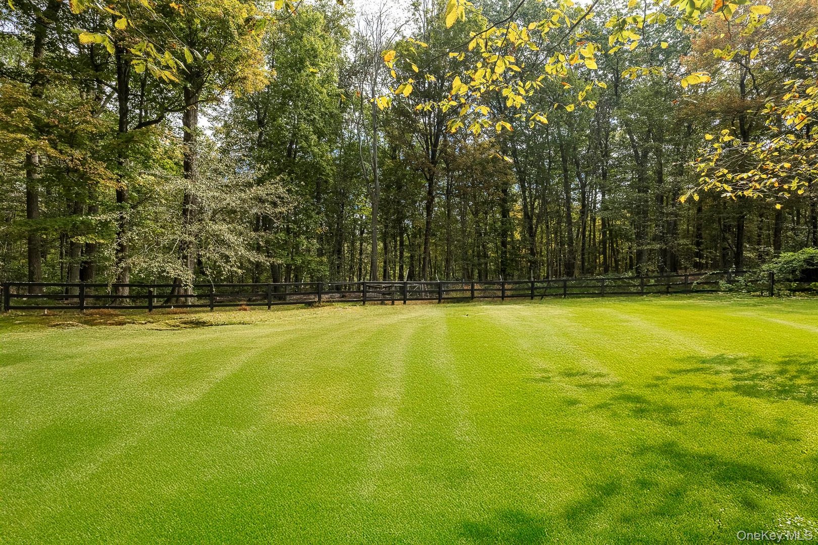 132 Finch Road Photo 41