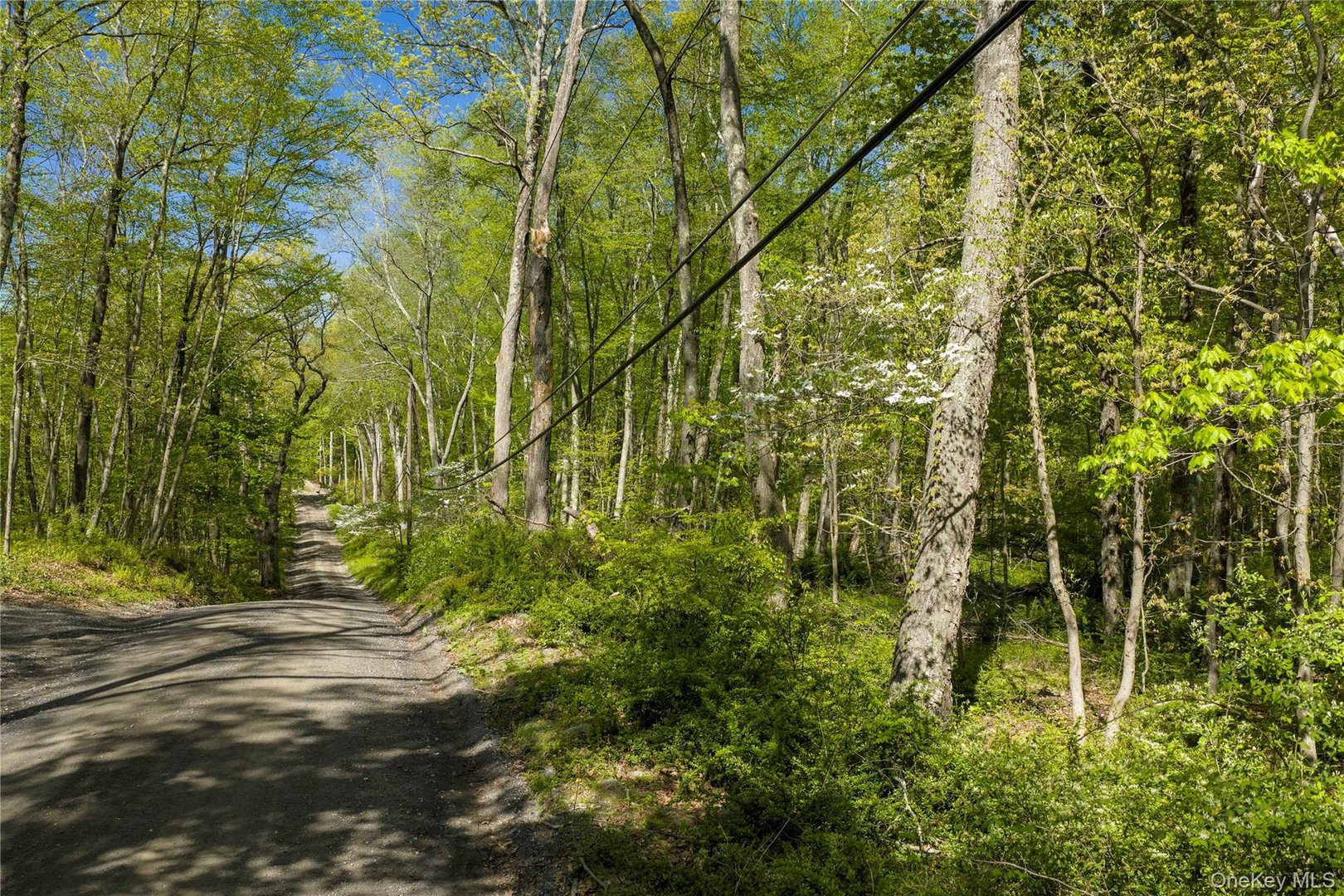 298 Nash Road Photo 2
