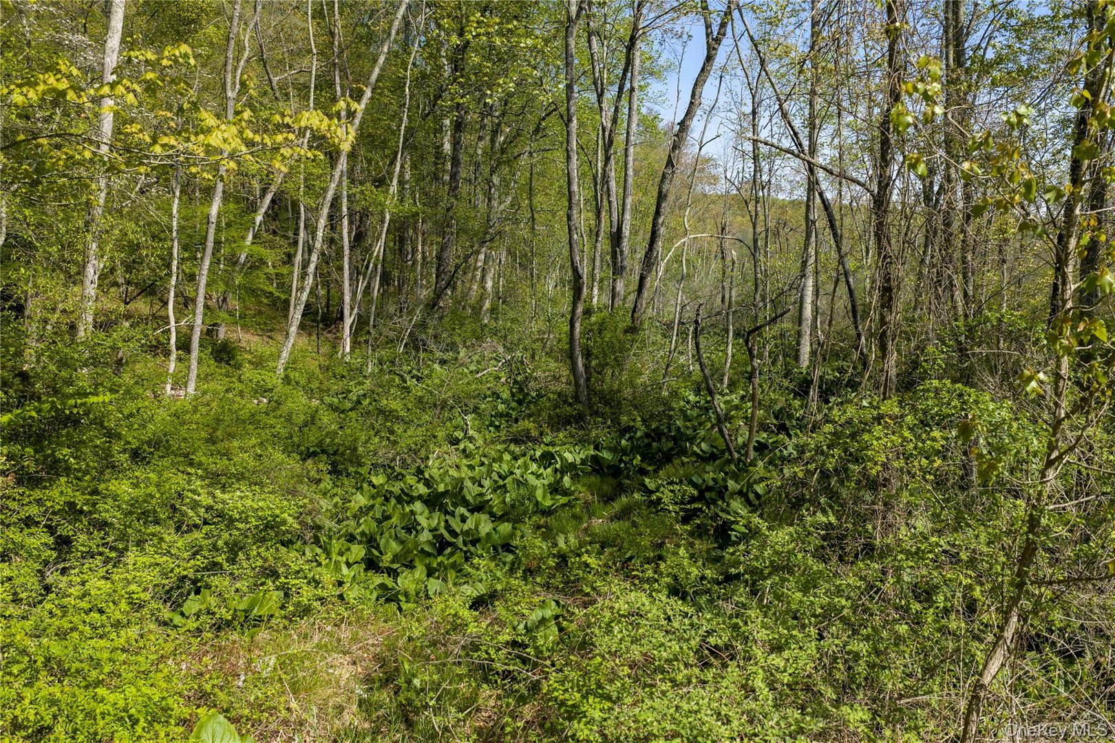 298 Nash Road Photo 9