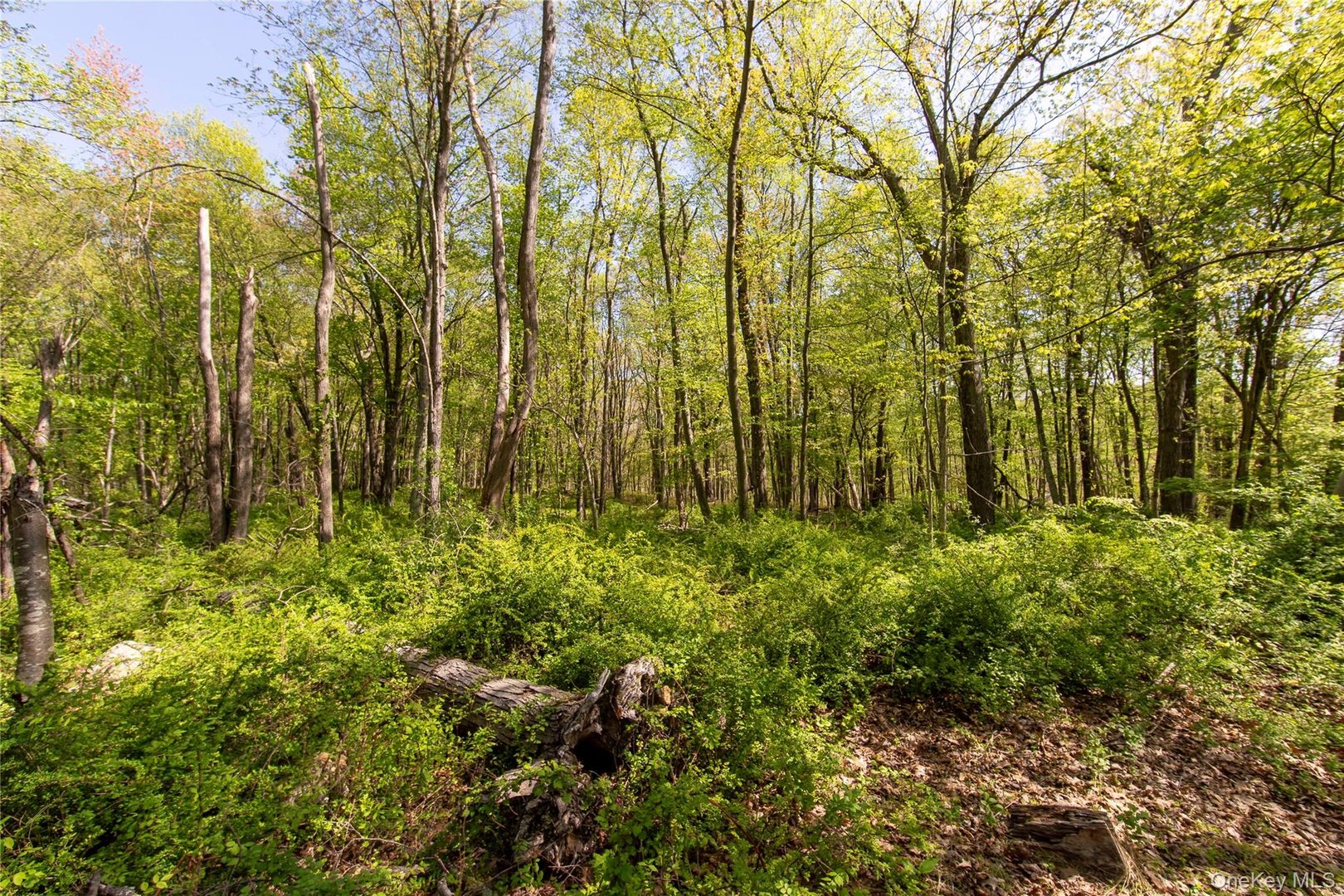 298 Nash Road Photo 5