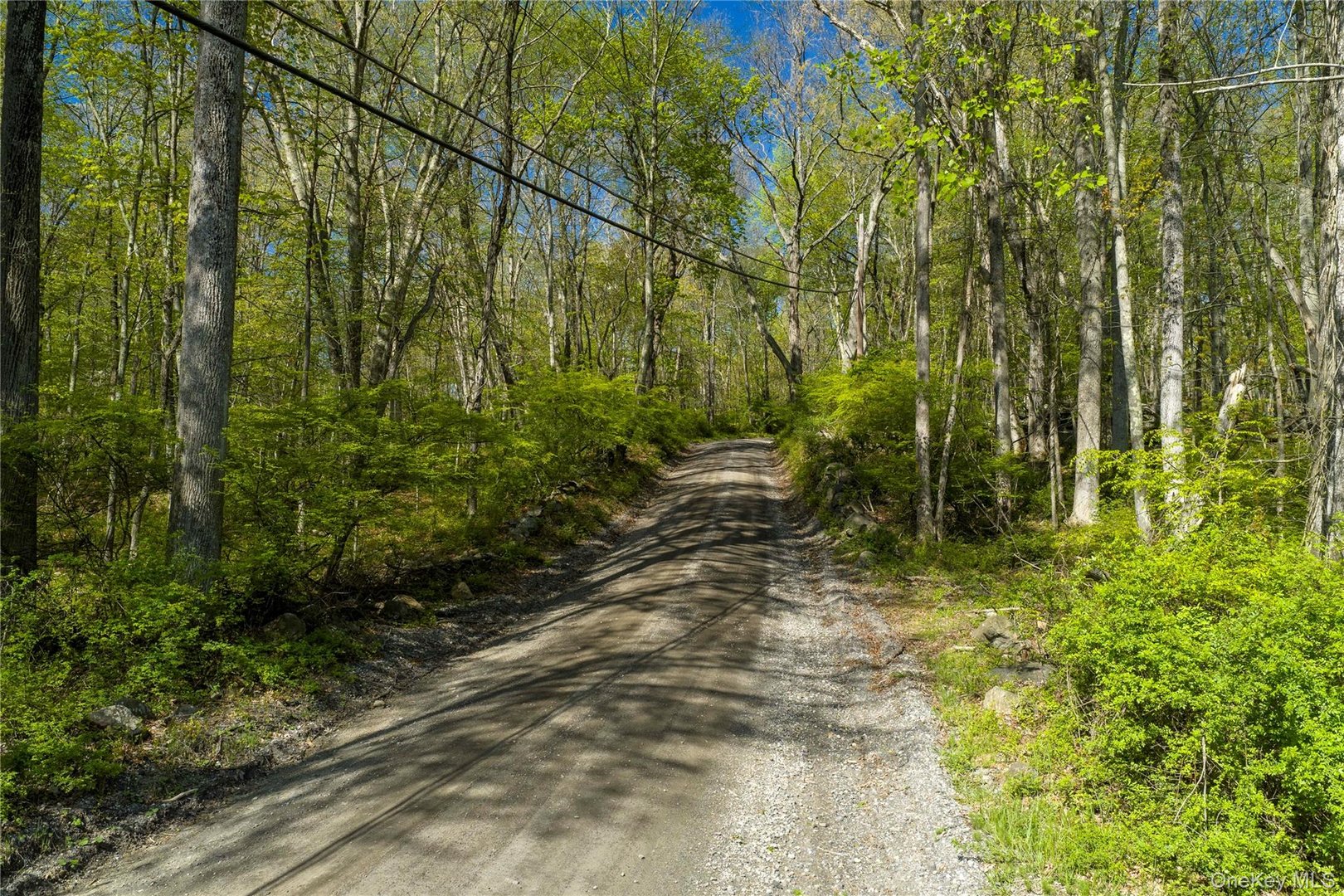 298 Nash Road Photo 11