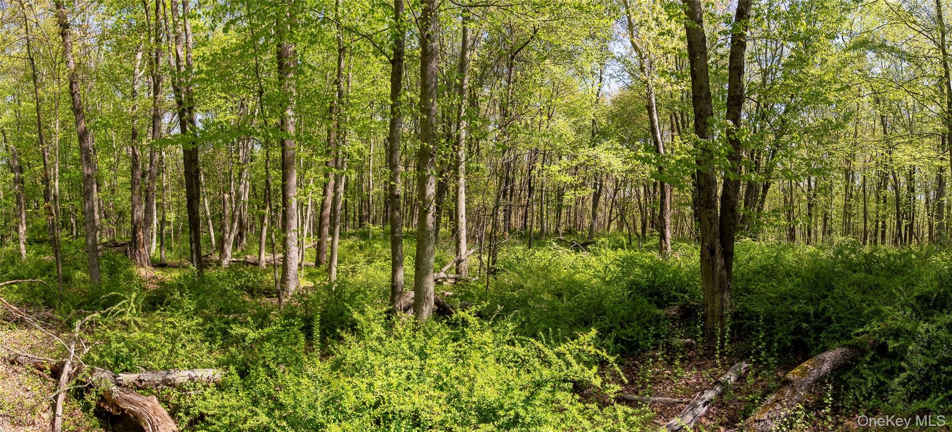 298 Nash Road Photo 7