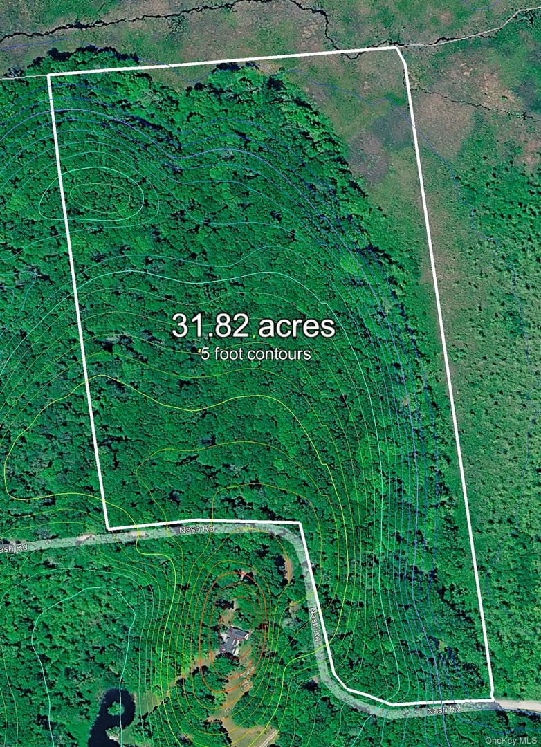 298 Nash Road Photo 4