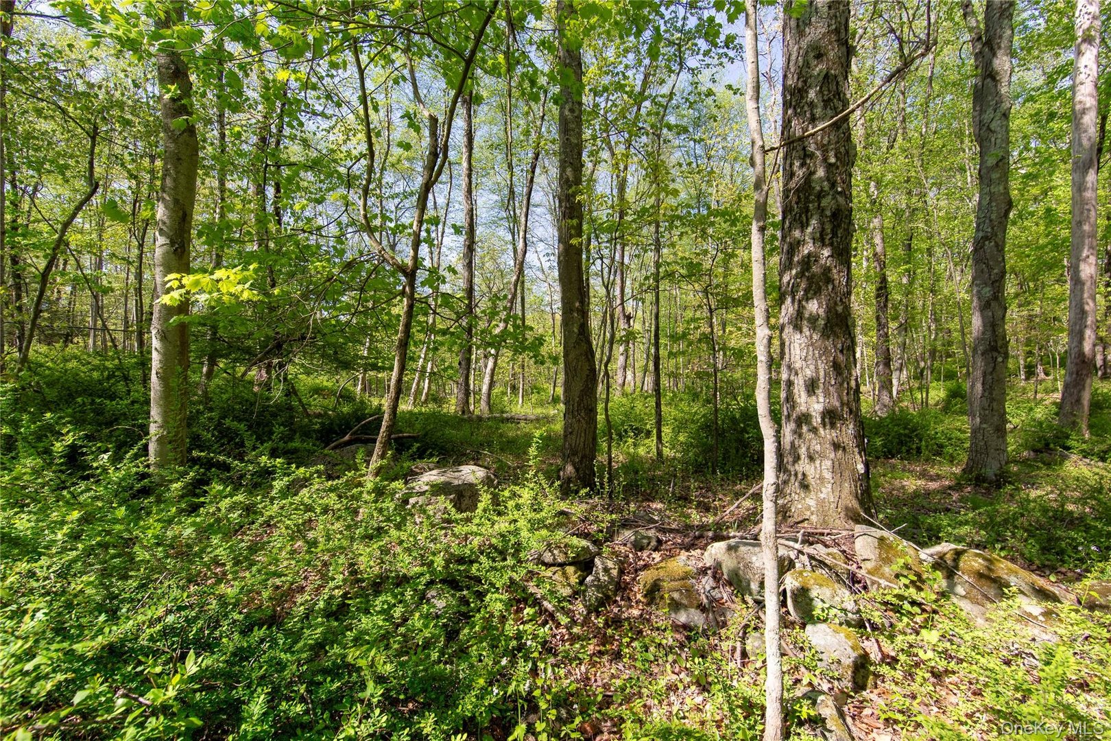 298 Nash Road Photo 8