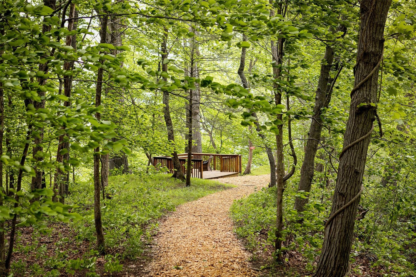 49 Sunset Circle Photo 35