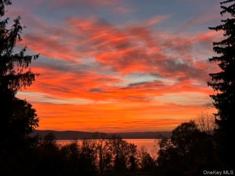 1320 N Albany Post Road Photo 44