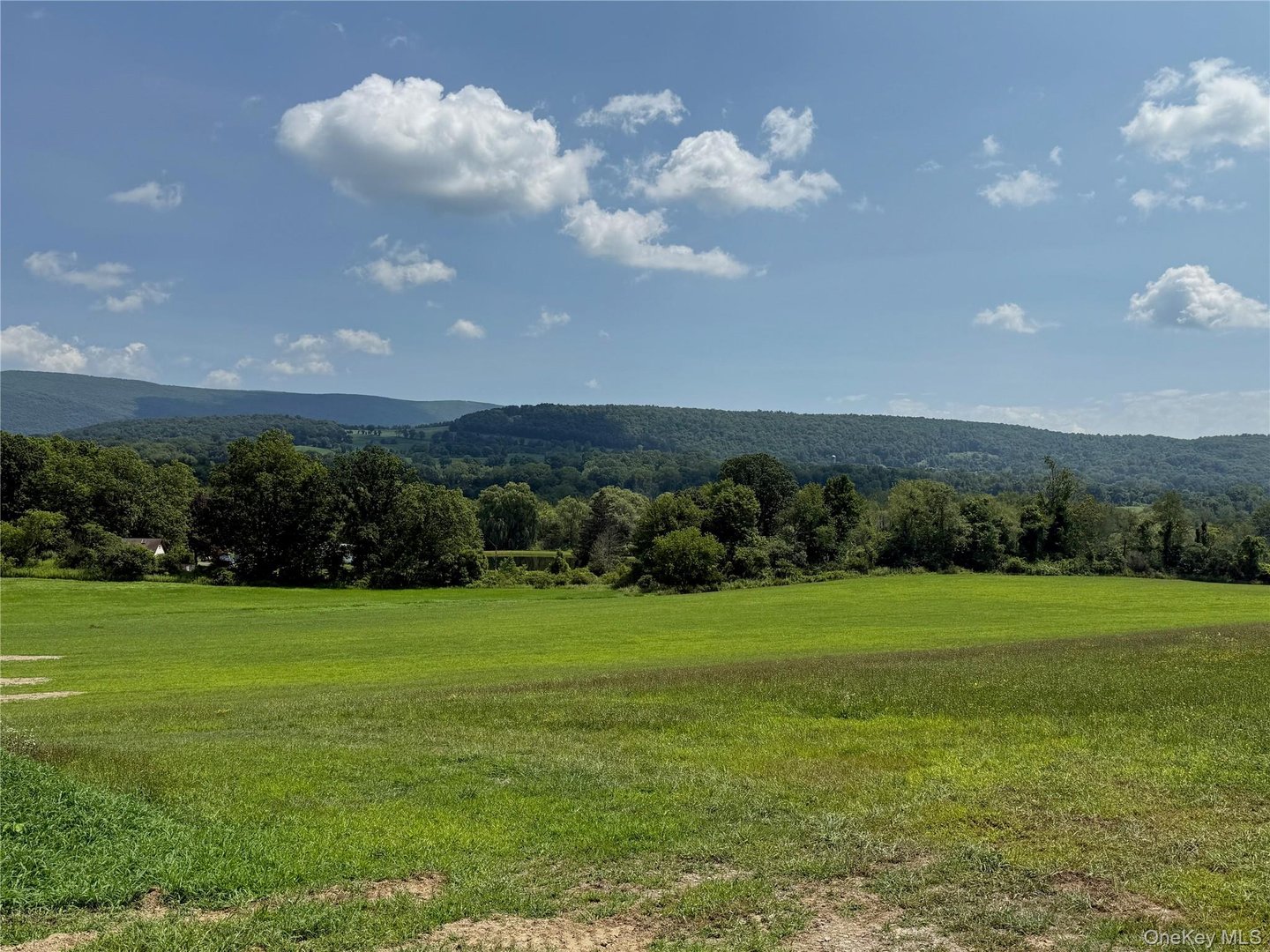 1131 E Ancram Road Photo 11