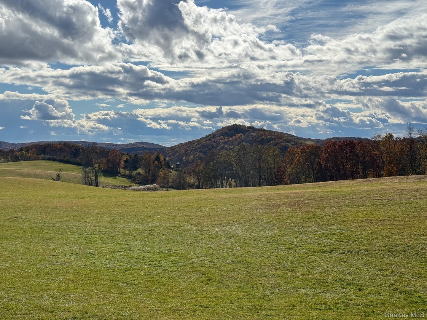 1131 E Ancram Road Photo 18