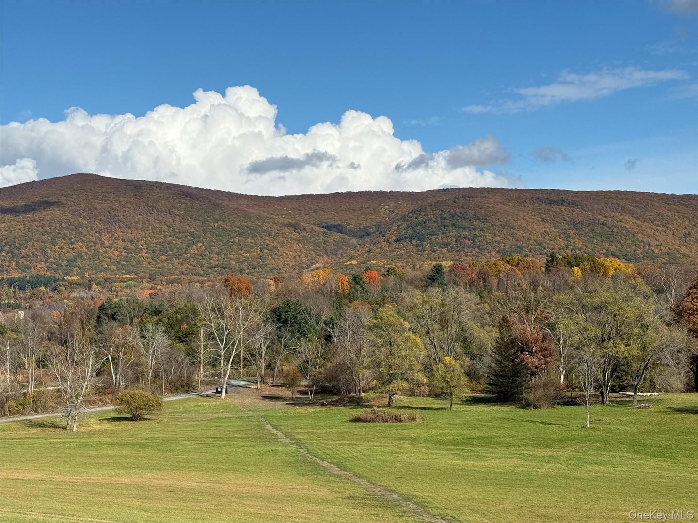 1131 E Ancram Road Photo 14