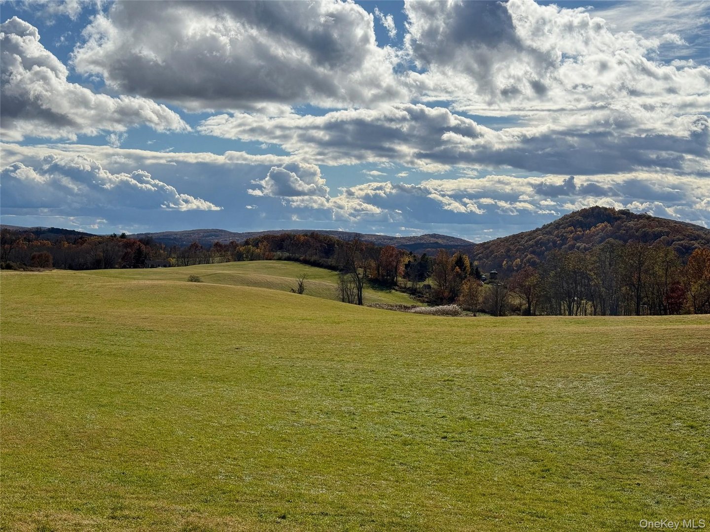 1131 E Ancram Road Photo 16