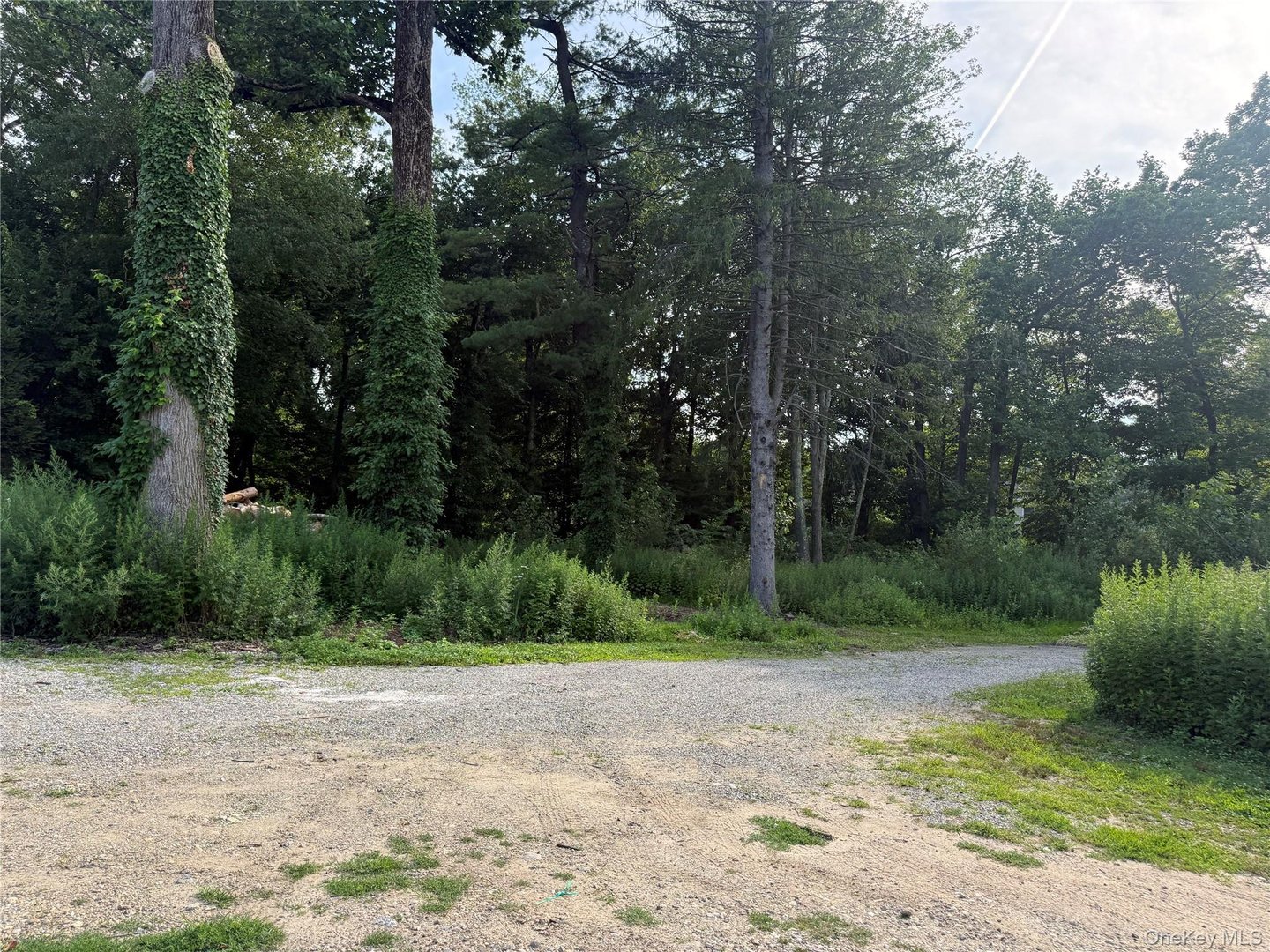 390 Smith Ridge Road Photo 20