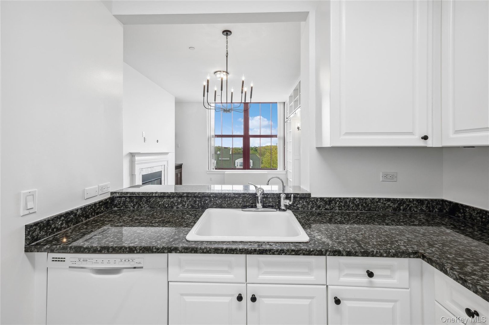 1 Scarsdale Road  #613 Photo 9