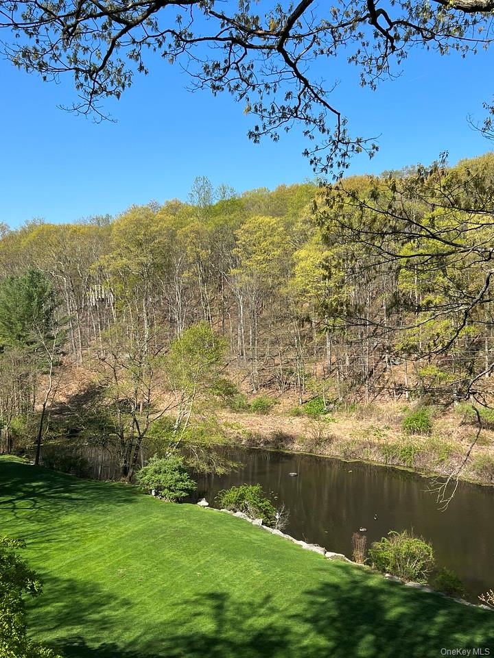 54 Cross Pond Road Photo 46