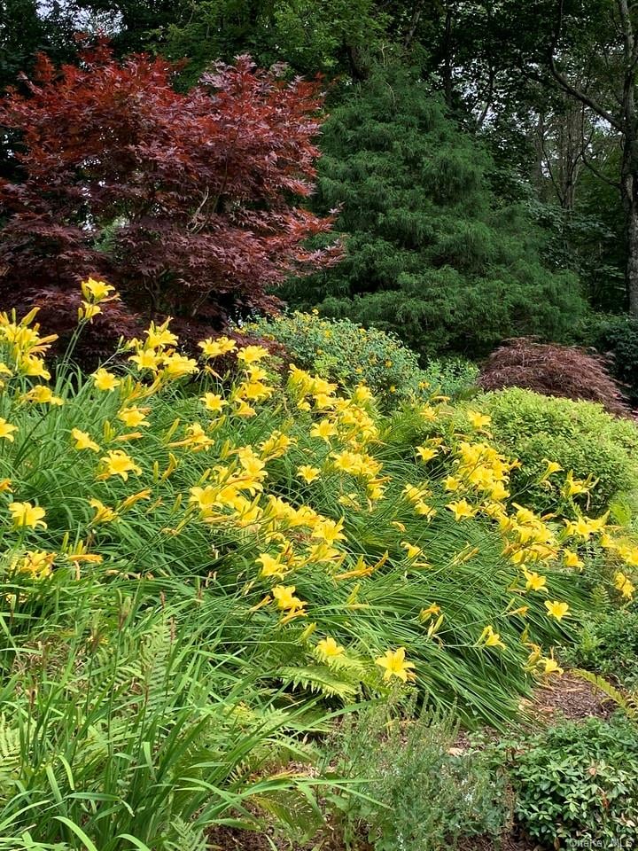 54 Cross Pond Road Photo 42