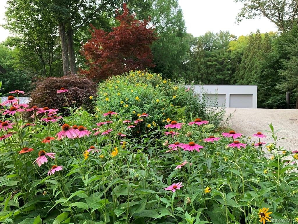 54 Cross Pond Road Photo 43