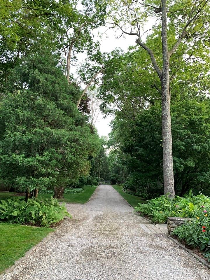 54 Cross Pond Road Photo 44