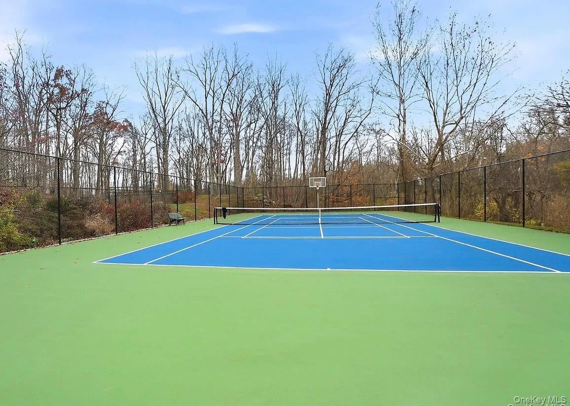 21 Croton Lake Road  #6 Photo 29