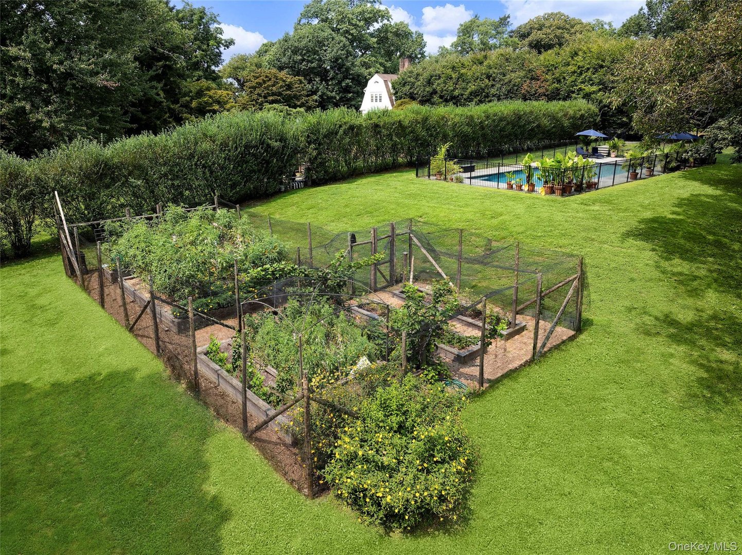 36 Revolutionary Road Photo 37