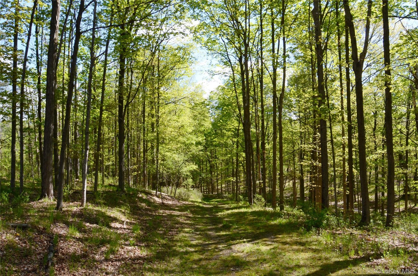 4317 Ny 23 Photo 41